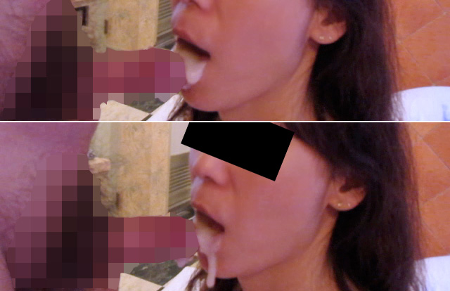 写真の説明