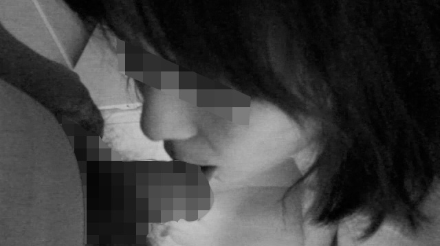 写真の説明