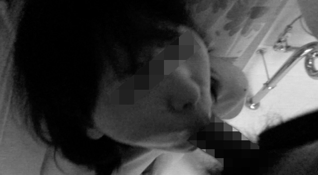 写真の説明